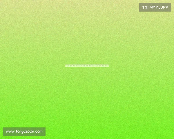 在拉力赛的狂野征程上挑战崎岖地形与极限速度实现车手的终极梦想